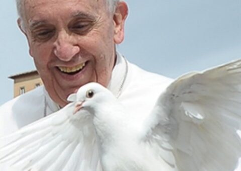 papa bergoglio