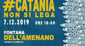 Sardine in Pescheria