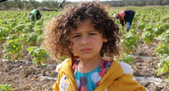 Nazra, cortometraggi dalla e sulla Palestina