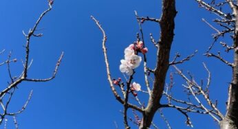 La speranza e il cambiamento