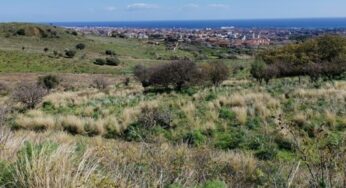 Parco Monte Po – Vallone Acquicella, un’utopia che l’impegno dei cittadini sta trasformando in realtà