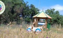 una immagine dell'area giochi del Parco non ripulita