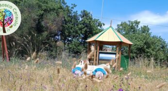 Bosco di Monte Ceraulo a Mascalucia, una chiusura ingiustificata che danneggia la comunità