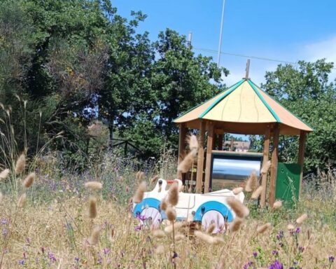 una immagine dell'area giochi del Parco non ripulita