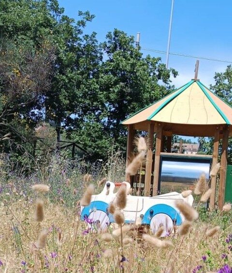 una immagine dell'area giochi del Parco non ripulita