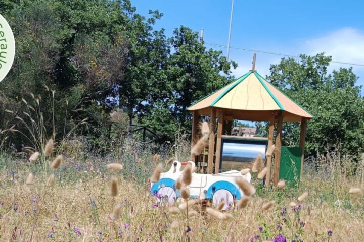 una immagine dell'area giochi del Parco non ripulita