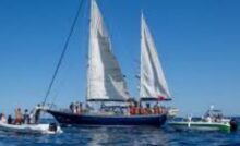 la nave Madleen bloccata in acque internazionali