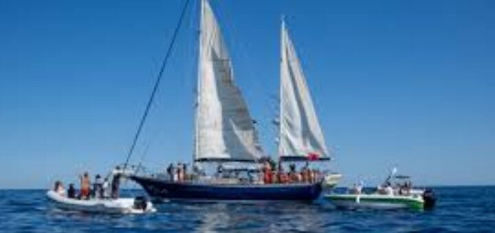 la nave Madleen bloccata in acque internazionali