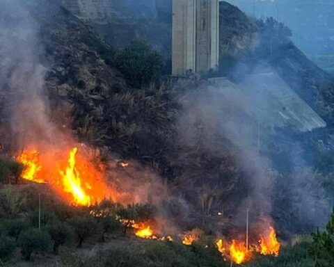 incendio nella zona di Partinico - 2023