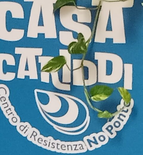 logo Casa Cariddi