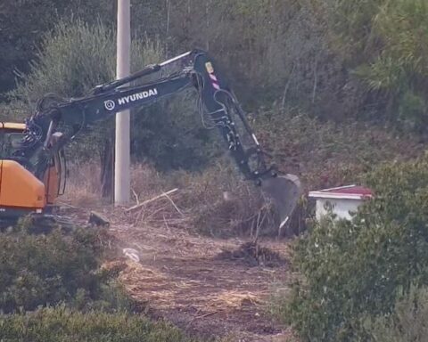 ruspe al lavoro nel parco di Monte Po