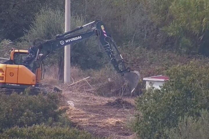 ruspe al lavoro nel parco di Monte Po
